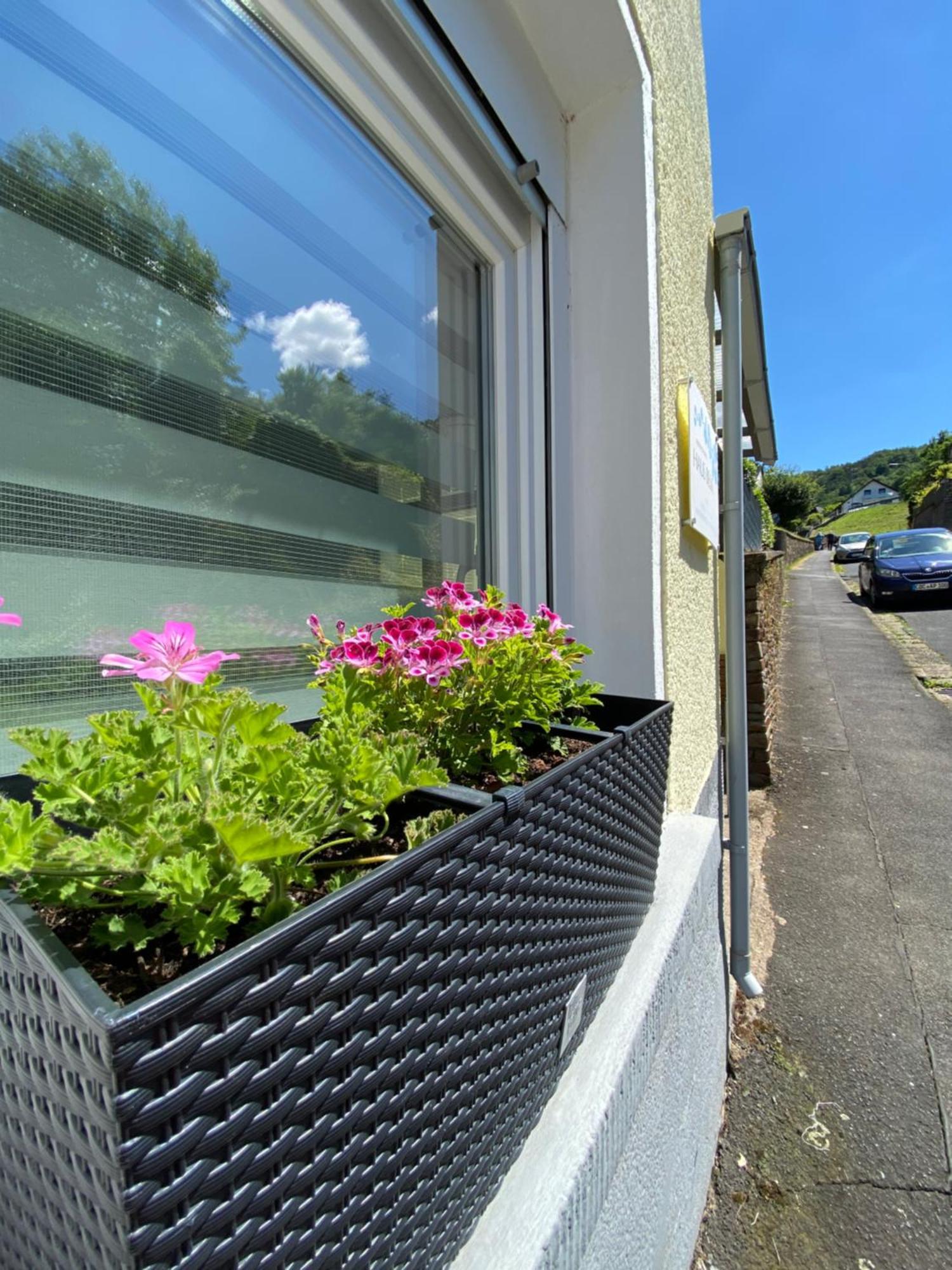 Appartamento "Haus Bella" Cochem Esterno foto